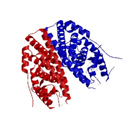 Image of CATH 2qxs