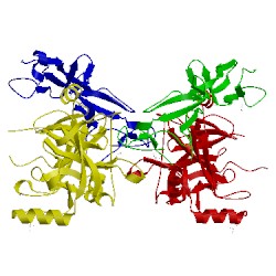 Image of CATH 2qy0