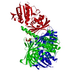 Image of CATH 2r00
