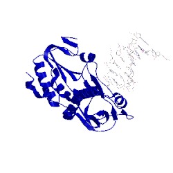 Image of CATH 2r2r