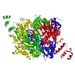Image of CATH 2r4f