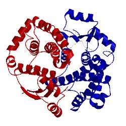 Image of CATH 2r6k
