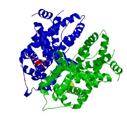 Image of CATH 2r7g