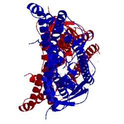 Image of CATH 2rai