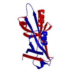 Image of CATH 2rcz