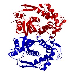 Image of CATH 2rd8