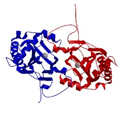 Image of CATH 2rg4