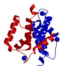 Image of CATH 2rgi