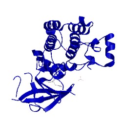 Image of CATH 2rgp