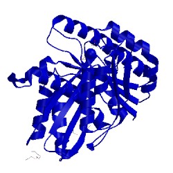 Image of CATH 2rhj
