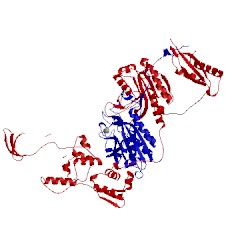 Image of CATH 2rhq