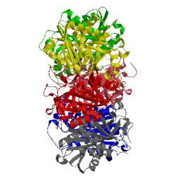 Image of CATH 2rj3