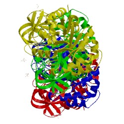 Image of CATH 2rjg