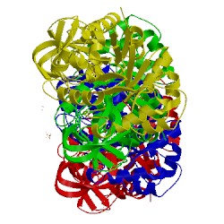 Image of CATH 2rjh