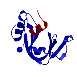 Image of CATH 2rln