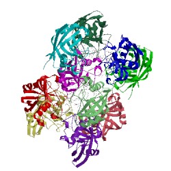 Image of CATH 2rma