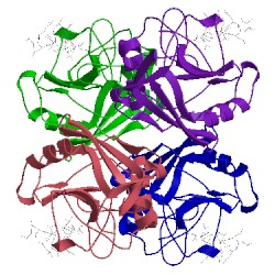 Image of CATH 2rmc