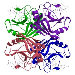 Image of CATH 2rmc