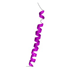Image of CATH 2rmfA