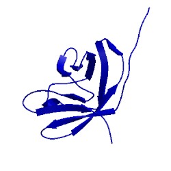 Image of CATH 2rn4