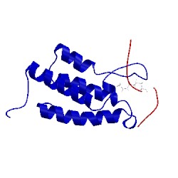 Image of CATH 2rnw