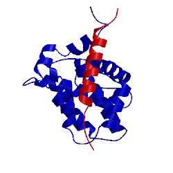 Image of CATH 2rod