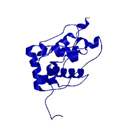 Image of CATH 2rr8