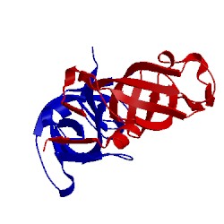 Image of CATH 2rsp