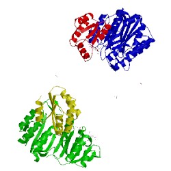 Image of CATH 2scu