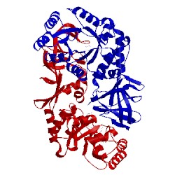 Image of CATH 2sfp