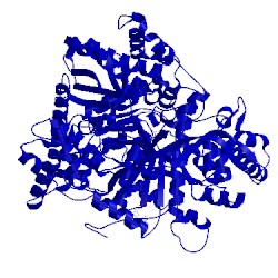 Image of CATH 2skc