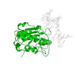 Image of CATH 2ssp