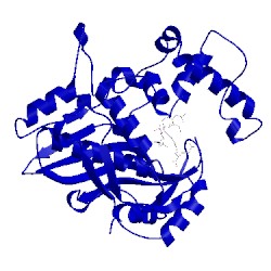 Image of CATH 2tdd