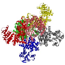 Image of CATH 2tmg