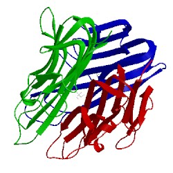 Image of CATH 2tnf