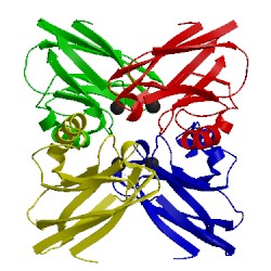 Image of CATH 2tsb