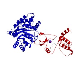 Image of CATH 2tys