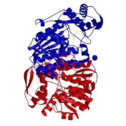 Image of CATH 2udp