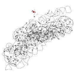 Image of CATH 2uua