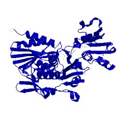 Image of CATH 2uup