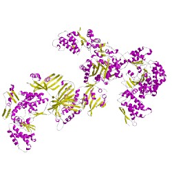 Image of CATH 2uv8G