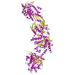 Image of CATH 2uv8H