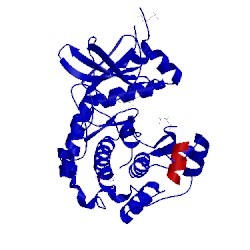 Image of CATH 2uvz