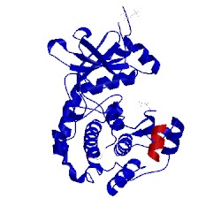 Image of CATH 2uw3