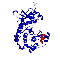 Image of CATH 2uw6