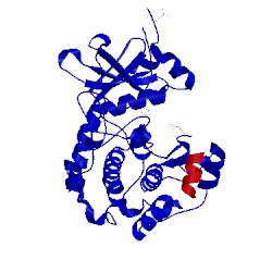 Image of CATH 2uw7