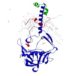 Image of CATH 2uws