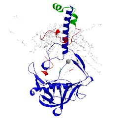 Image of CATH 2uwv