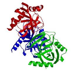 Image of CATH 2uxs