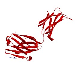 Image of CATH 2v17